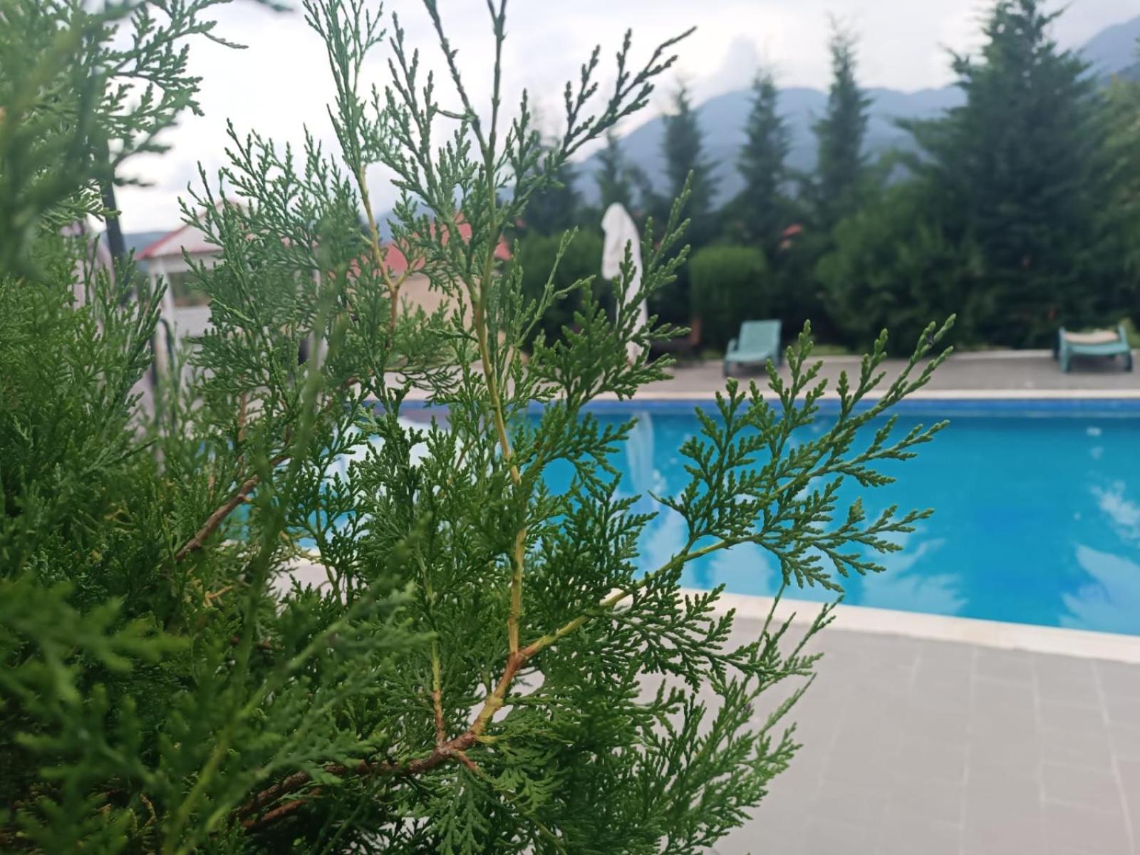 Gabala Bliss Inn Hotel And Restaurant Екстериор снимка